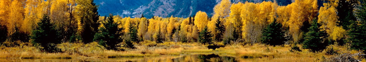 autunno-in-montagna