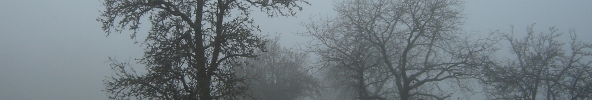 Nebel_in_der_Region_Rhön_01386