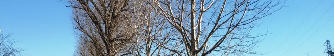 20160116_120410